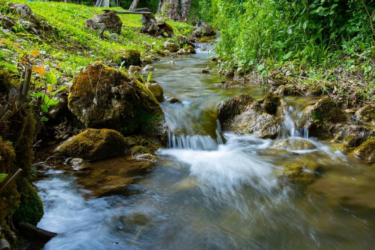 Kuca U Sumi - Forrest House Near Una National Park Бихач Экстерьер фото